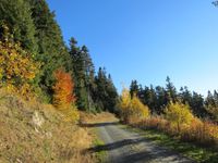 Waldweg